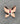 【USA輸入】ヴィンテージ CORO スターリングシルバー バタフライ ブローチ/Vintage CORO Streling Butterfly Brooch