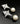 【SGP輸入】ヴィンテージ サラ・コベントリー パール イヤリング/Vintage SARAH COVENTRY Pearl Clip On Earrings