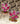 【USA輸入】ヴィンテージ ピンク ビジュー イヤリング/Vintage Pink Bijou Screw Back Earrings