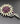 【USA輸入】ヴィンテージ リスナー サンフラワー ラインストーン ブローチ/Vintage LISNER Sunflower Rhinestones Brooch