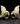 【USA輸入】ヴィンテージ ダマシン リーフ イヤリング/Vintage Damascene Leaves Clip On Earrings