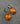 【ドイツ買付】ヴィンテージ SEIBOTH タンジェリン ガラス ピアス/Vintage SEIBOTH Tangerine Glass Dangle Earrings