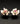 【USA輸入】ヴィンテージ フロレンザ ホワイト ローズ イヤリング/Vintage FLORENZA White Rose Clip On Earrings