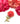 【USA輸入】ヴィンテージ コーラル ローズ ブローチ/Vintage Coral Rose Brooch
